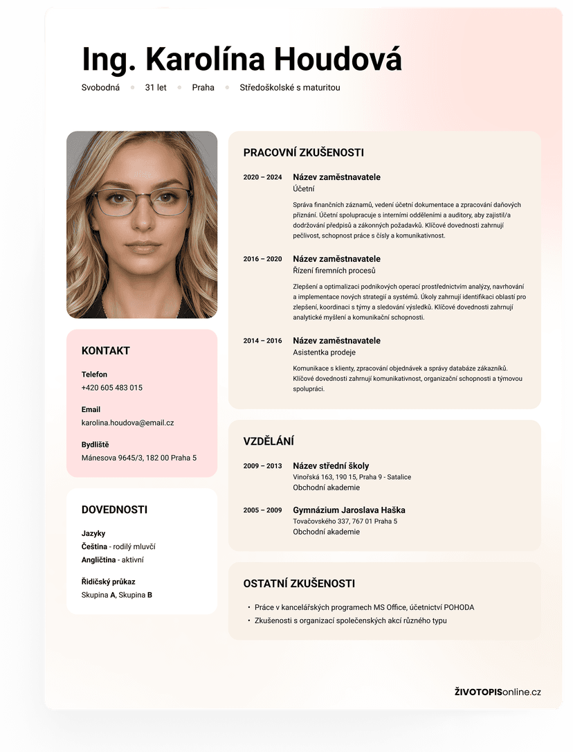CV Preview 1